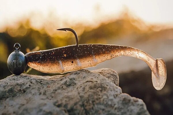 Softbaits
