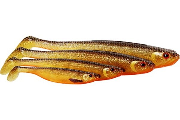 Gummifische