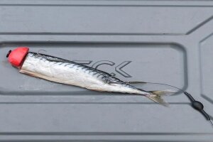 Deadbait Subfloats und Booms