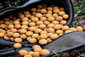 Boilies