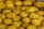 Traveller Mellow Yellow 20kg