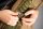 Korda Compac 3Rod Futteral 10ft