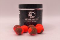 50.50 Hookbaits French Star 20mm
