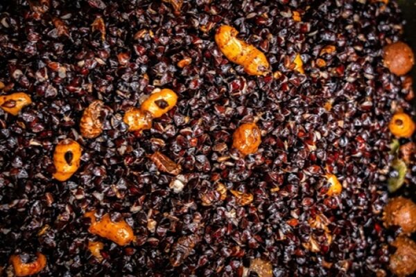 Ready to Fish King Mix 2Kg