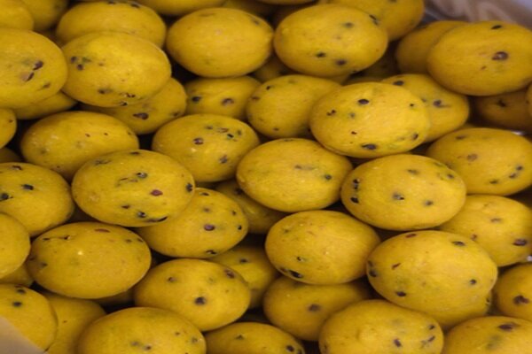 Traveller Mellow Yellow 5kg 20mm