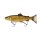 Savage Gear 3D Line Thru Trout 15cm/40g Bream