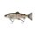 Savage Gear 3D Line Thru Trout 15cm/40g Clear Rainbow Trout
