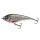 Westin SWIM GLIDEBAIT 13.5cm 77g Real Roach (Suspending)