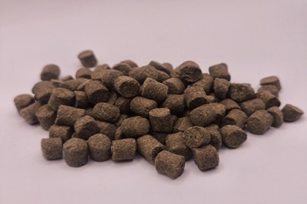 Waterworld Protein Pellets 5 Kg 9mm