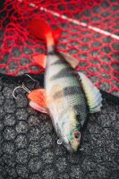 Fox Rage Ultra-Realistic Perch Replicant 10cm / 22g