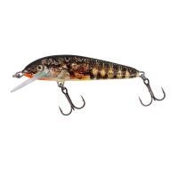 Salmo Floating Minnow 5 Holo Stickleback 5cm 3g