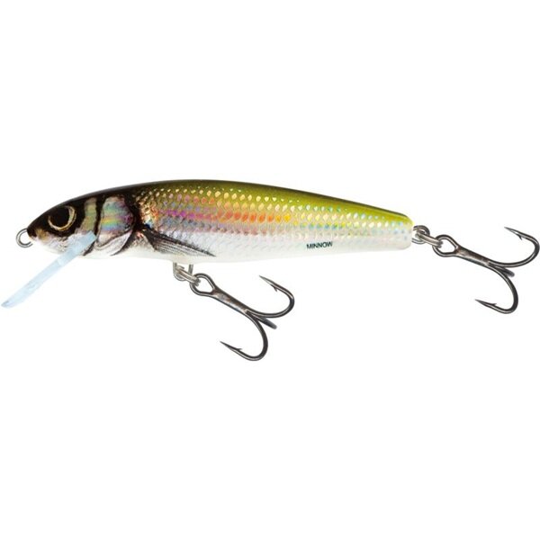 Salmo Floating Minnow 5 Holo Bleak 5cm 3g