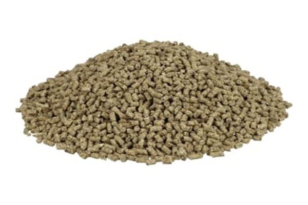 Waterworld Carp Sticks 2kg