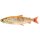 Savage Gear 3D Line Thru Whitefish 17cm/53g Gold Albino