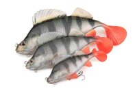 Fox Rage Ultra-Realistic Perch Replicant 14cm / 52g