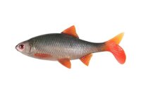 Fox Rage Ultra Realistic Replicant Roach 14cm / 40g