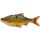 Savage Gear 3D Line Thru Roach Slow Sinking 18cm / 80g Clear Rudd