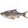 Savage Gear 3D Line Thru Roach Slow Sinking 18cm / 80g  Blue Roach