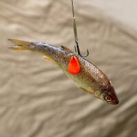 Zeck Treble Rig #4