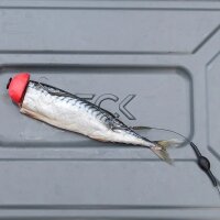 Zeck Twin Treble Rig #6