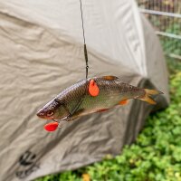 Zeck Single Hook #2
