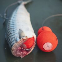 Fox Rage Predator Pop-Up Caps