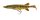 Savage Gear 3D Pike Shad 20cm / 65g ( Clear Pike )