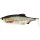 Westin Ricky The Roach Shadtail 2 Stück (10 cm)