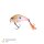Zeck Danny Crankbait 5,5 cm | 11g | 0,7 m Floating Flashing Wakasagi BA