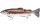 Westin Tommy The Trout Slow Sinking 15cm 45g Real Rainbow Trout