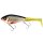 Westin SWIM TAIL 10cm 34g Real Rudd 1 Body 2 Tails (Suspending)