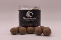 Hookbaits French Star