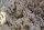 Waterworld Spod  & Cloud Mix Sweet Milk 2kg