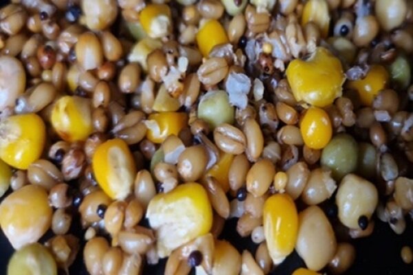 Ready to Fish Particle Mix 2kg