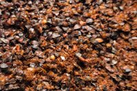 Ready to Fish Hot and Spice Mix 2kg
