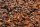 Ready to Fish Hot and Spice Mix 2kg