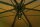 Fox Easy Brolly 60